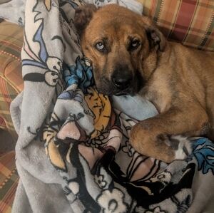 Meet your Posher, Carla